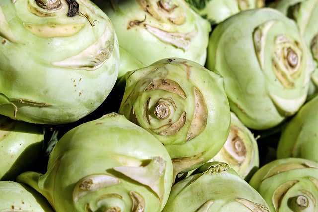 Can Guinea Pigs Eat Kohlrabi