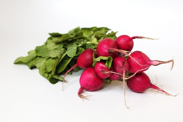 Can Sulcata Tortoises Eat Radishes