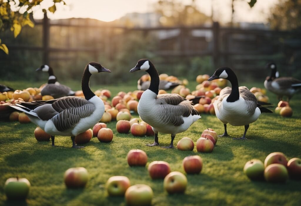 Can Geese Eat Apples? 