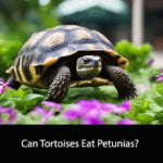 Can Tortoises Eat Petunias