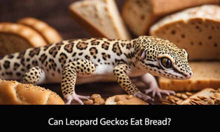 Can Leopard Geckos Eat Bread?