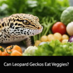Can Leopard Geckos Eat Veggies