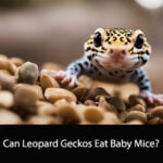 Can Leopard Geckos Eat Baby Mice