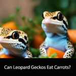 Can Leopard Geckos Eat Carrots