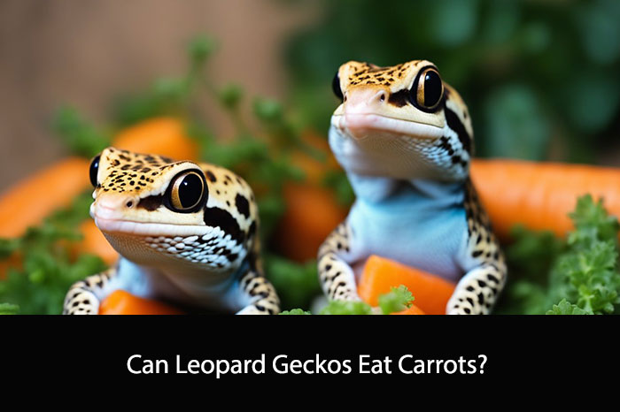 Can Leopard Geckos Eat Carrots