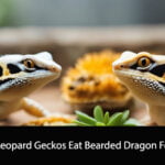 Can Leopard Geckos Eat Bearded Dragon Food