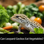 Can Leopard Geckos Eat Vegetables