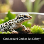 Can Leopard Geckos Eat Celery