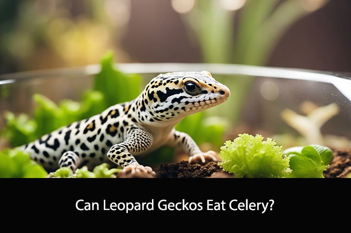 Can Leopard Geckos Eat Celery?