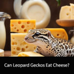 Can Leopard Geckos Eat Cheese