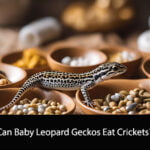 Can Baby Leopard Geckos Eat Crickets