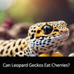 Can Leopard Geckos Eat Cherries