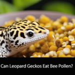 Can Leopard Geckos Eat Bee Pollen