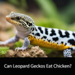 Can Leopard Geckos Eat Chicken