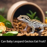 Can Baby Leopard Geckos Eat Fruit