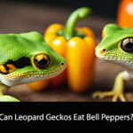Can Leopard Geckos Eat Bell Peppers