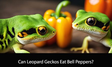 Can Leopard Geckos Eat Bell Peppers?