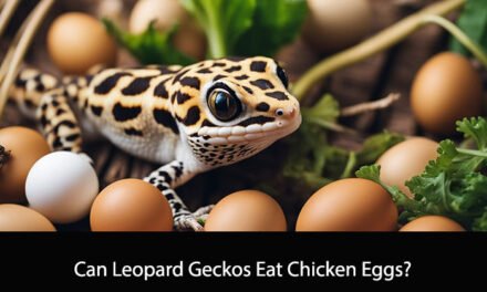 Can Leopard Geckos Eat Chicken Eggs?