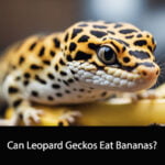 Can Leopard Geckos Eat Bananas