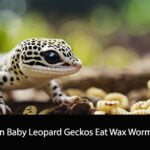 Can Baby Leopard Geckos Eat Wax Worms