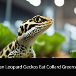 Can Leopard Geckos Eat Collard Greens