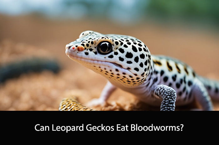 Can Leopard Geckos Eat Bloodworms
