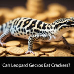 Can Leopard Geckos Eat Crackers