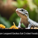 Can Leopard Geckos Eat Cricket Foods