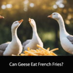 Can Geese Eat French Fries