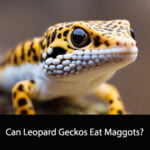 Can Leopard Geckos Eat Maggots