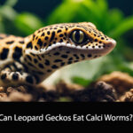 Can Leopard Geckos Eat Calci Worms