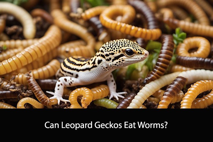 Can Leopard Geckos Eat Worms?