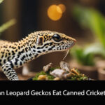 Can Leopard Geckos Eat Canned Crickets