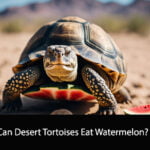 Can Desert Tortoises Eat Watermelon