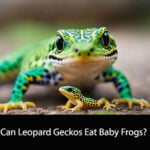 Can Leopard Geckos Eat Baby Frogs