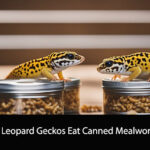 Can Leopard Geckos Eat Canned Mealworms