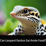 Can Leopard Geckos Eat Anole Food