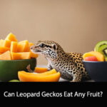 Can Leopard Geckos Eat Any Fruit