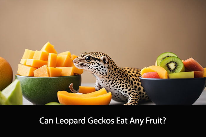 Can Leopard Geckos Eat Any Fruit