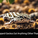 Can Leopard Geckos Eat Anything Other Than Bugs