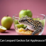 Can Leopard Geckos Eat Applesauce