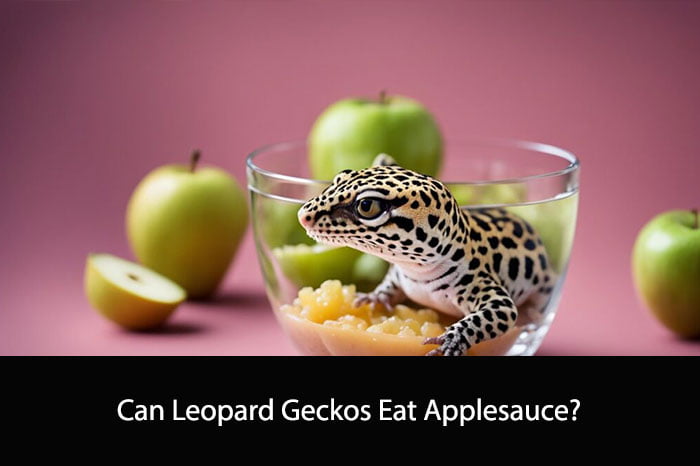Can Leopard Geckos Eat Applesauce