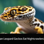 Can Leopard Geckos Eat Nightcrawlers