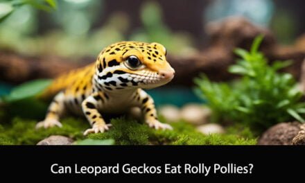 Can Leopard Geckos Eat Rolly Pollies?