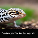 Can Leopard Geckos Eat Isopods