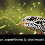 Can Leopard Geckos Eat Grasshoppers