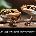 Can Leopard Geckos Eat Cockroaches