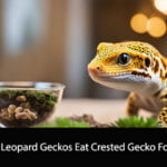 Can Leopard Geckos Eat Crested Gecko Food