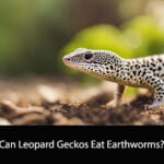 Can Leopard Geckos Eat Earthworms