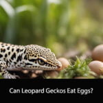 Can Leopard Geckos Eat Eggs